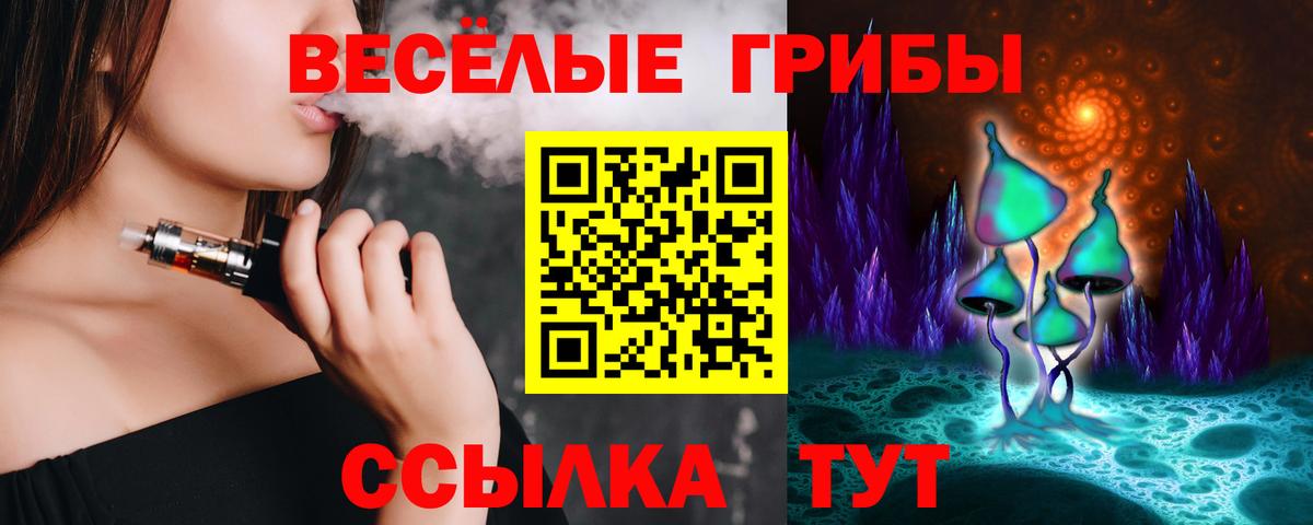 Ревда  Псилоцибиновые грибы Magic Shrooms  Псилоцибиновые грибы ЛСД  Вход с VPN 