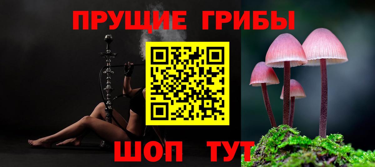 Галлюциногенные грибы ЛСД Ревда